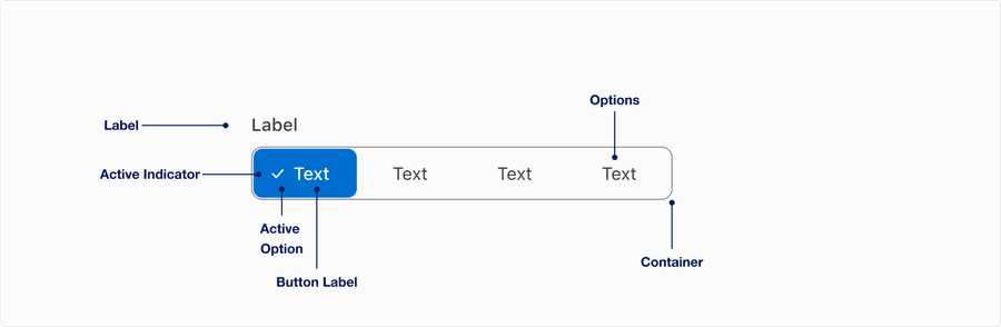 Segmented Control Anatomy