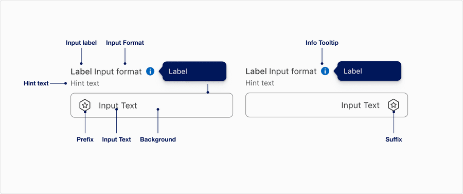 Prefix or Suffix Anatomy