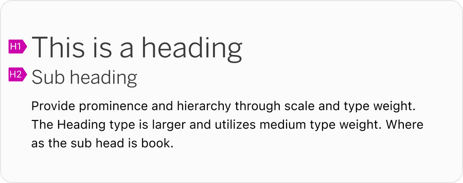 Typography Hierarchy